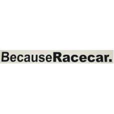 BecauseRacecar v1