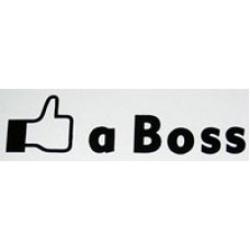 Like a boss v1
