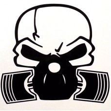 skull v1